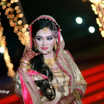 fb-bdweddingframe 263